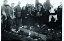 Rzeź wołyńska oczami Ukraińców: Niewygodna prawda o masakrze