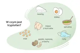 Produkty bogate w tryptofan: twaróg, żółtko, mięso z kurczaka, spirulina, soja, pestki, nasiona, orzechy i ryby.