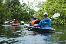 Spływ kajakowy Tleń: Trasy, ceny i organizacja na Wdzie