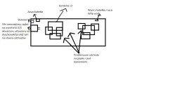 Jak prawidłowo ustawić filtr w akwarium, aby uniknąć problemów z wodą
