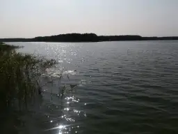 Jezioro Dworackie: raj dla wędkarzy i miłośników natury w Polsce