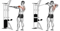 Ejercicios para el músculo trapecio: fortalece tu espalda sin lesiones