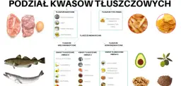 Tłuszcze roślinne czy zwierzęce: co jest zdrowsze dla twojego serca?