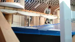 Co robić w Szczecinie, gdy pada? Odkryj najlepsze atrakcje pod dachem!