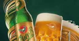 Gdzie kupić piwo Złoty Bażant w najlepszych cenach i promocjach?