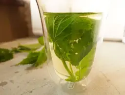 Jak zrobić herbatę z pokrzywy? Prosty przepis na zdrowy napar