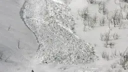 Śnieżna masa po zejściu lawiny w Tatrach, z widocznymi nagimi drzewami na zboczu.