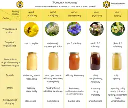 Jaki miód do nalewki? Wybierz idealny smak!