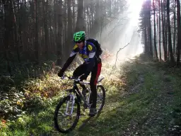 Rowerzysta w kasku jedzie leśną ścieżką, która jest częścią szlaku stu jezior. Mgła i promienie słońca tworzą magiczną atmosferę.