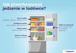 Jak układać produkty w lodówce? Klucz do świeżości i oszczędności