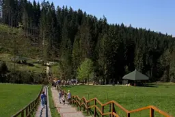 Najlepsze atrakcje w Jaworzynce, które musisz zobaczyć podczas wizyty