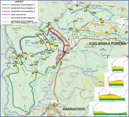 Gdzie na narty biegowe? Najlepsze trasy i miejsca w Polsce i za granicą