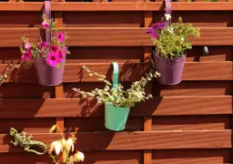 Jak ozdobić płot w ogrodzie? Pomysły, które odmienią przestrzeń