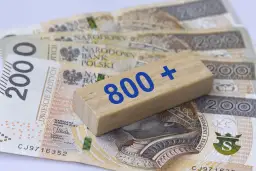 Drewniany klocek z napisem "800+" leży na polskich banknotach 200 zł.