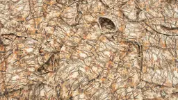 Gdzie kupić bluzy y2k – najlepsze miejsca na modę retro bez rozczarowań