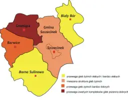 Jaki powiat ma Szczecin? Poznaj status miasta na prawach powiatu