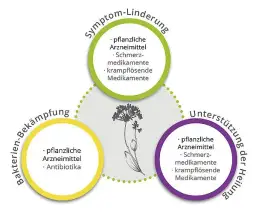 Harnwegsinfektion Medikamente: Effektive Behandlungen und Alternativen