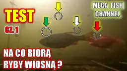 Na co łowić ryby? Sekrety przynęt i zanęt Damiana Baranowskiego