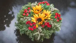 Jak zrobić stroik na cmentarz w doniczce, by uczcić pamięć bliskich