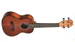 Ile naprawdę kosztuje dobre ukulele? Porównanie cen i porady dla kupujących