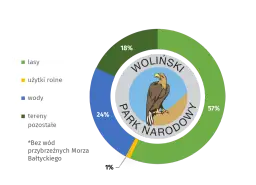 Co jest symbolem Wolińskiego Parku Narodowego? Poznaj orła bielika