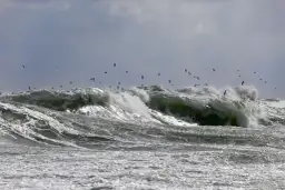 Czy można się kąpać w Bałtyku? Sprawdź aktualne zagrożenia i bezpieczeństwo