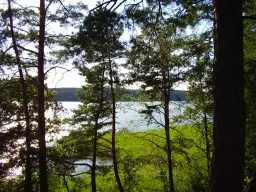 Jezioro Kośno: piękne miejsce na wypoczynek i wędkowanie w naturze