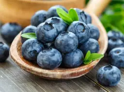 Kiedy jest sezon na jagody? Poznaj najlepszy czas na zbiór owoców