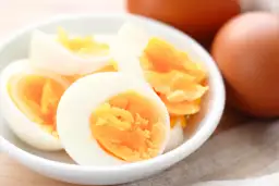 Jajko dla psa: czy można podawać? Bezpieczne formy i dawkowanie