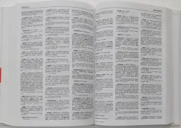 Stara książka z wyrazami obcymi, otwarta na stronie ze słowami na literę "S".