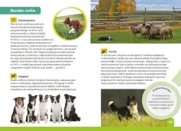 Atlas psów dla dzieci: Książki i aplikacje wybierz najlepszy!