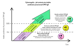 Cytomegalia - kiedy zrobić badanie w ciąży, aby chronić zdrowie?