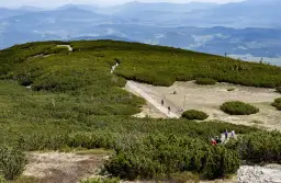 Babia Góra: Ile trwa wejście? Szlaki, pogoda, porady. Planuj mądrze!