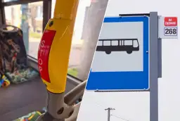 Gdzie zatrzymuje się autobus do Amazon Poznań? Sprawdź najbliższe przystanki