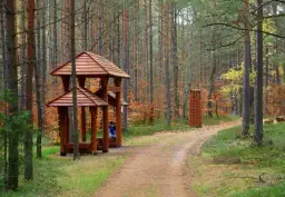 Jesienna ścieżka zdrowia Luzino zaprasza do odpoczynku pod drewnianą altaną i ćwiczeń na świeżym powietrzu.