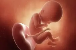 23. tydzień ciąży (6. miesiąc): Dziecko jak bakłażan? Sprawdź!