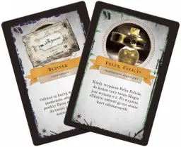 Talisman Harry Potter recenzja: co musisz wiedzieć przed zakupem