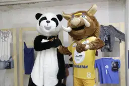 VIVE recykling - jak firma zmienia przyszłość recyklingu tekstyliów