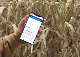 Jak złożyć wniosek suszowy krok po kroku i uniknąć błędów