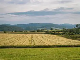Nowoczesne zarządzanie danymi: kalkulator emisji CO₂ w gospodarstwie jako fundament strategii środowiskowej