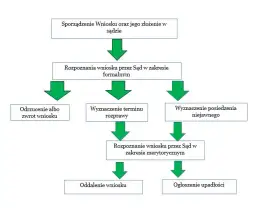 Co sprawdza sąd w upadłości konsumenckiej? Kluczowe aspekty analizy