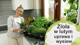 Jak uprawiać zioła w domu - proste sposoby na świeże przyprawy