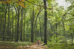 Rezerwat przyrody Segiet: Odkryj jego unikalne piękno i tajemnice