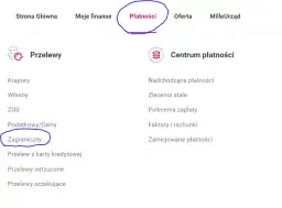 Ile idzie przelew z zagranicy do Millennium? Sprawdź czas realizacji