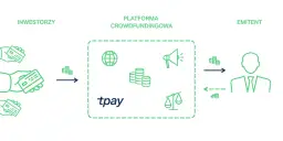 Beesfund: Co to jest i jak działa platforma crowdfundingowa?