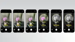 Sześć ekranów iPhone'a pokazuje, jak zrobić ładne zdjęcia, prezentując różne efekty oświetleniowe dla storczyka.