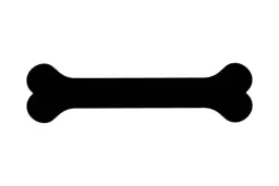 Jak narysować kość dla psa - proste kroki i przydatne wskazówki