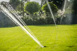 Jak działa zraszacz ogrodowy? Poznaj mechanizmy i wybierz najlepszy