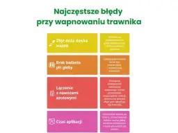 Jakie pH pod trawnik? Odkryj, jak uniknąć problemów z trawą