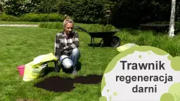 Skuteczne sposoby na regenerację trawnika i przywrócenie mu zdrowia